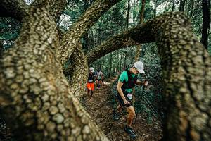 BIB: 
                            <button type="button" onclick="openModal(25393159)" class="btn btn-primary btn-sm float-right btn-popup" data-toggle="modal" data-target=".modal-high-quality">
                        <i class="fas fa-shopping-cart"></i> Add to Cart
                    </button>
                                            <button type="button" onclick="isThisMe(25393159, true)" class="btn btn-success btn-sm float-right btn-popup btn-isme hidden" data-toggle="tooltip" data-placement="bottom" title="นี่คือรูปของคุณใช่ไหม คลิกที่นี่เพื่อเอาเข้าอัลบั้ม">
                        <i class="fas fa-plus"></i> Add to album
                    </button>
                    <button type="button" onclick="isThisMe(25393159, false)" class="btn btn-warning btn-sm float-right btn-popup btn-isnotme hidden">
                        <i class="fas fa-ban"></i> Remove from album
                    </button>